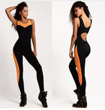 Fitness Sport Suit Women