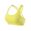 Professional Sport Bra Top